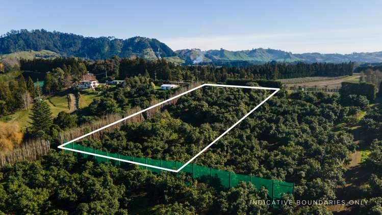 229 Athenree Road Athenree_6