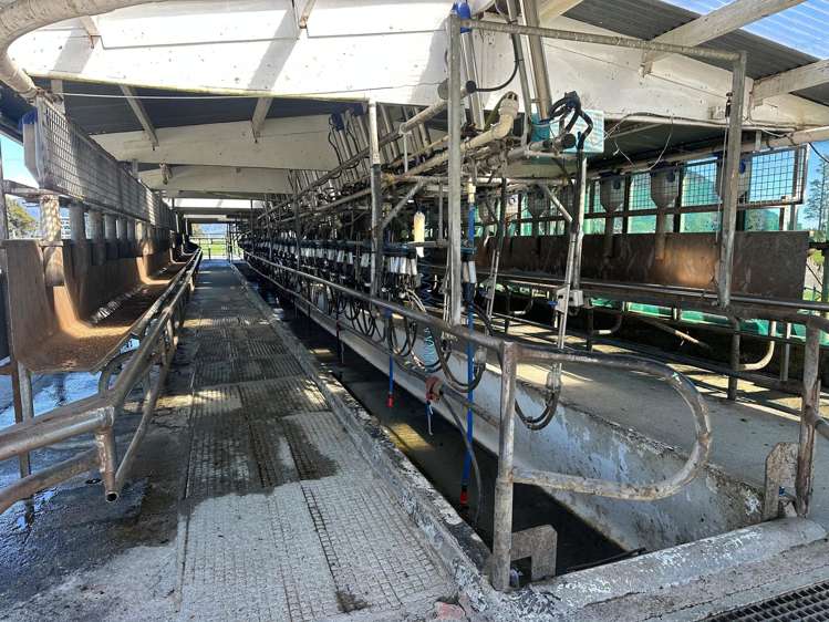 212-222 Municipal Road Kowhitirangi_8