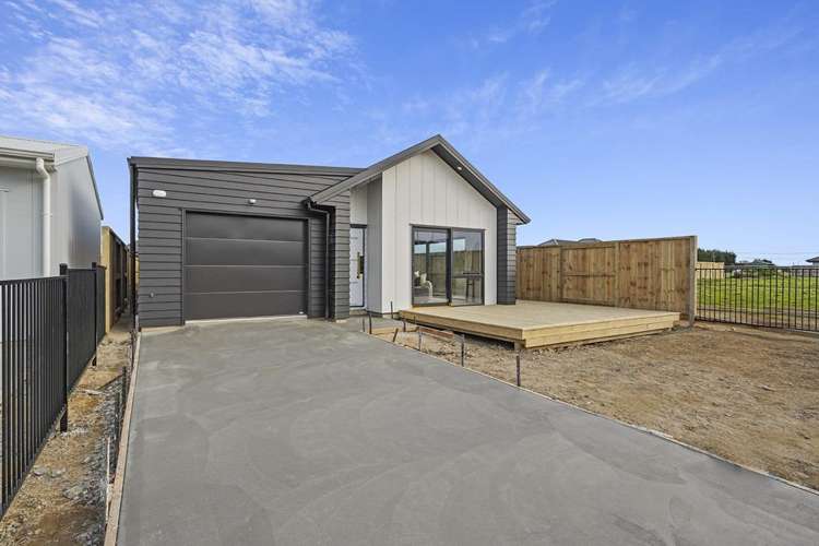 22 Oneone Street 11373_14