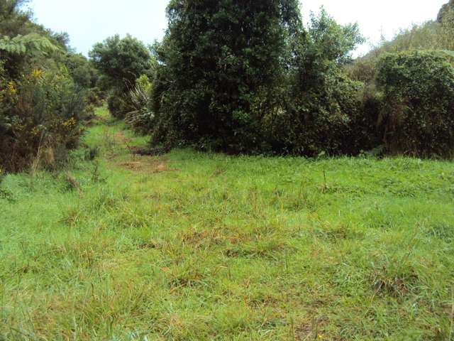 858 Shwy 67 Nikau Kahurangi National Park_1