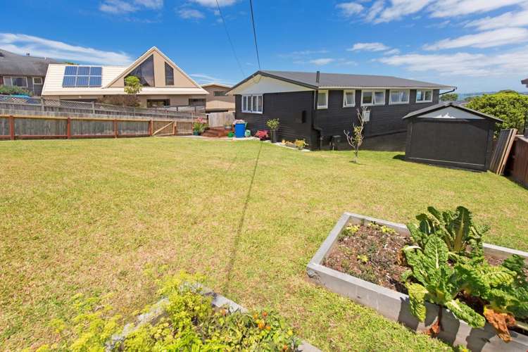 17a East Avenue Manly_10