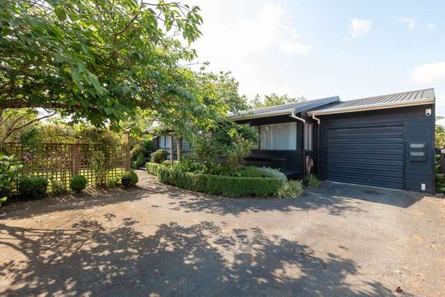 4a Pearsons Avenue Claudelands_4