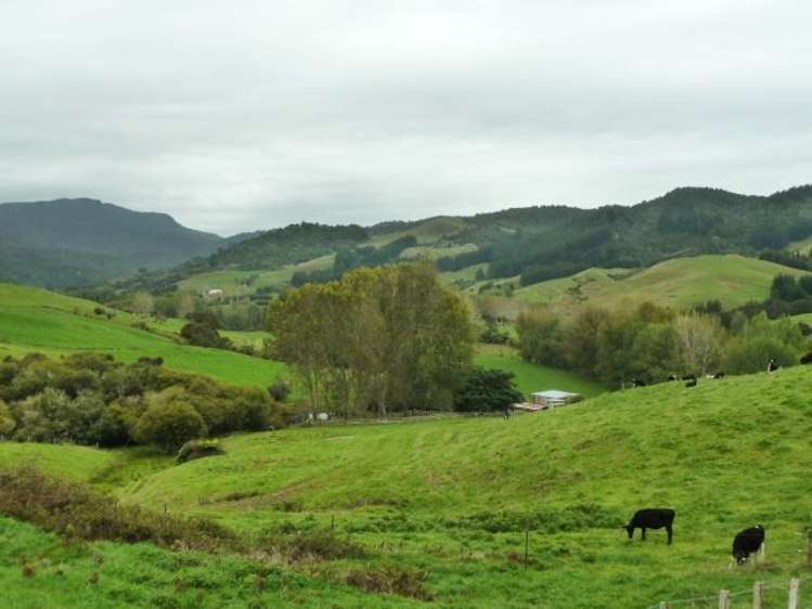 102 Wires Road Hikutaia_38