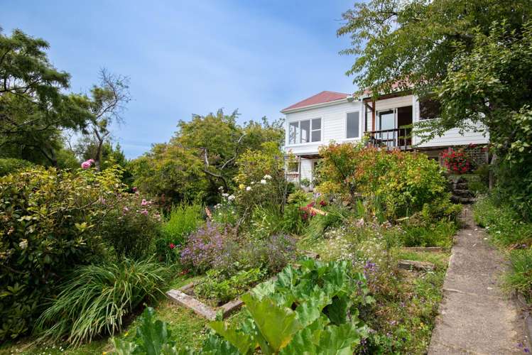 17 Brownville Crescent Maori Hill_24