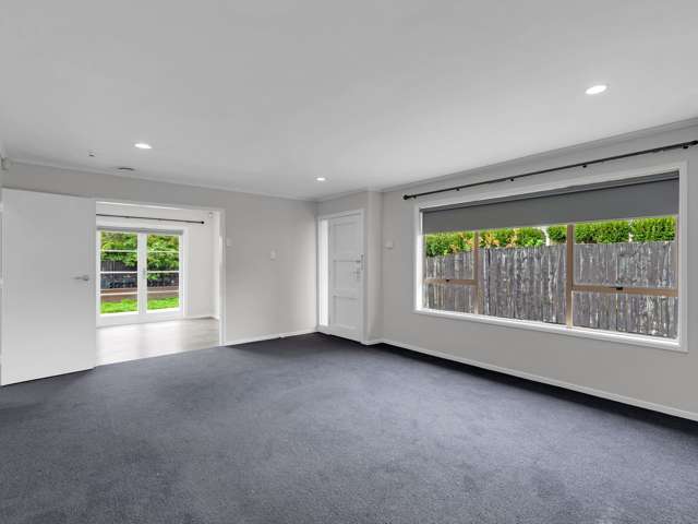 58B Nixon Street Hamilton East_2