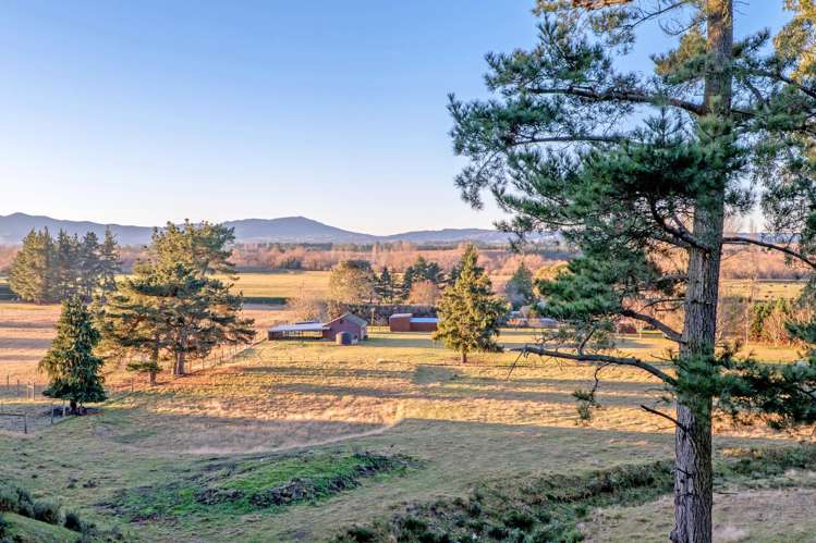 773 Mount Thomas Road Fernside_21