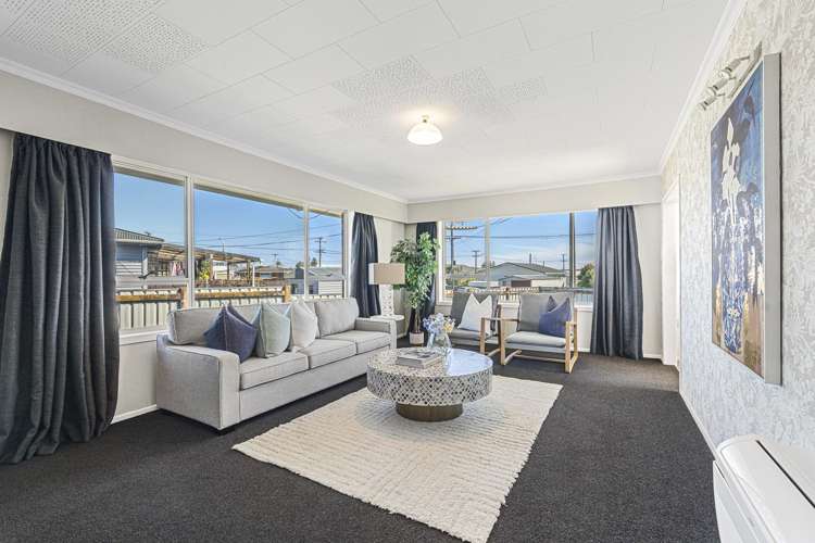 12 Saxton Road Upper Vogeltown_9