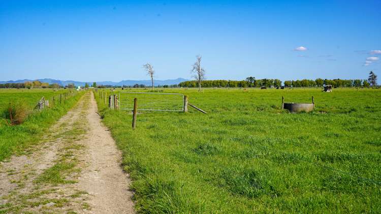 1944 State Highway 25 Orongo_9