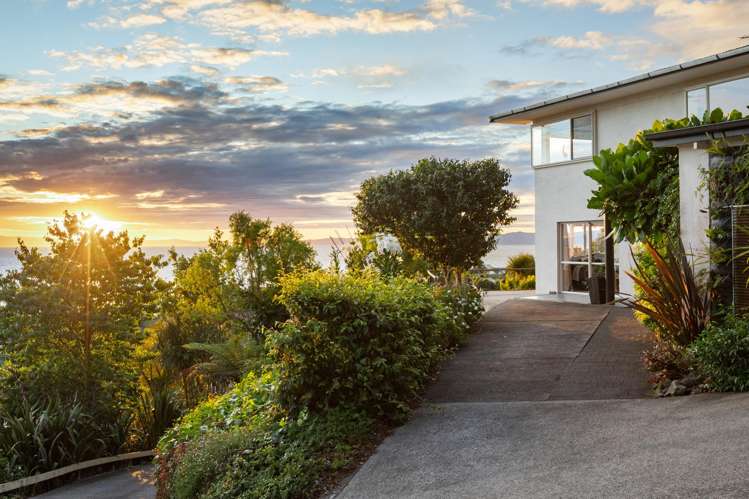 734 Tararu Sh25 Road Thames_23