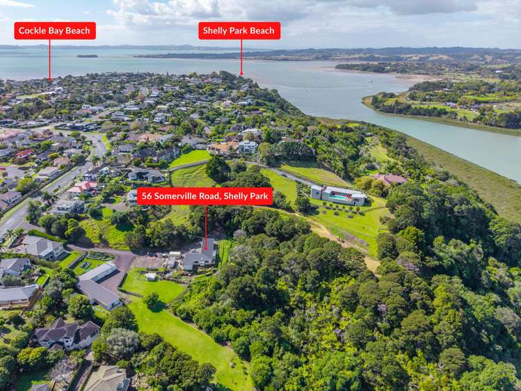 56 Somerville Road Shelly Park_6