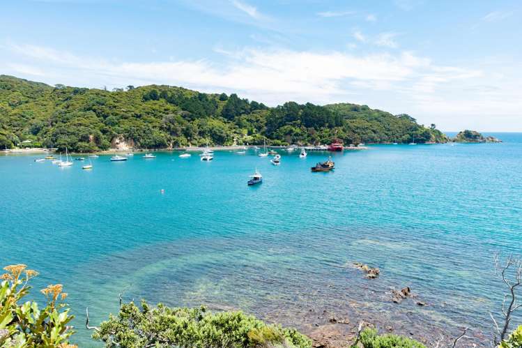 179 Shoal Bay Road Great Barrier Island_3