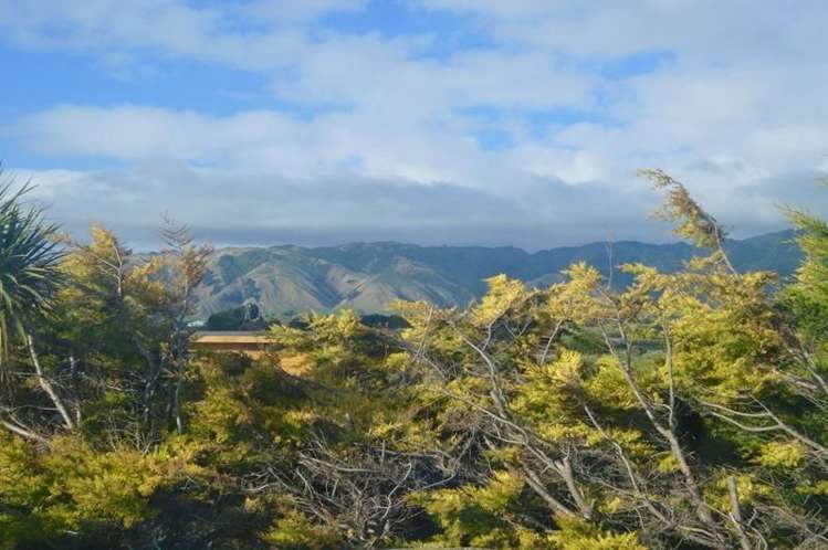 10 Sylvia Way Te Horo Beach_6