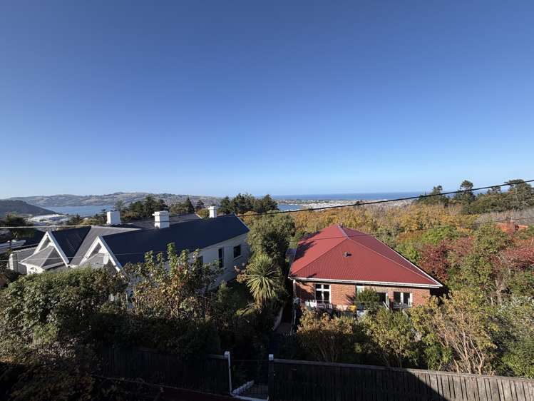 28A Sheen Street Roslyn_18