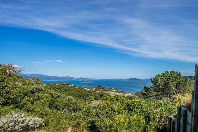 5 Pine Tree Lane Korokoro_14