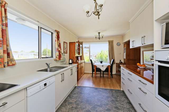 3 Lyttelton Crescent Tamatea_1