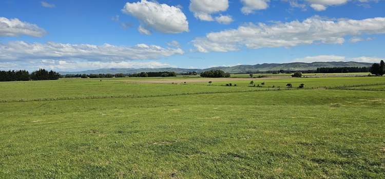 236 Walker Road Lumsden Surrounds_18