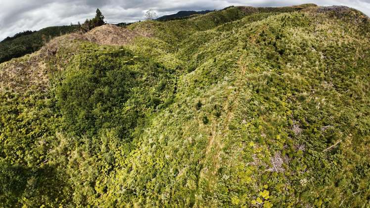 Lot 23 Waiotehue Road_5