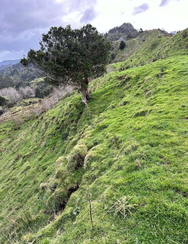 Lot 3 Okoki Road Urenui_3