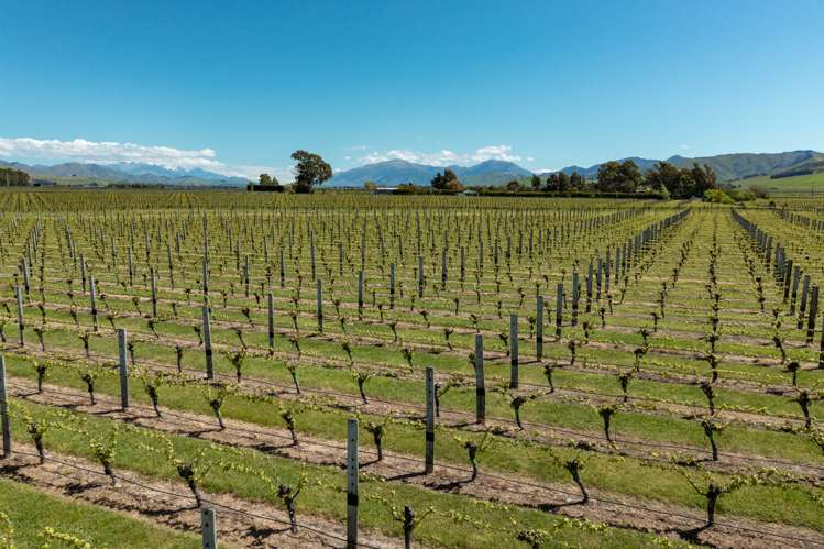 1803 Redwood Pass Road Seddon_8