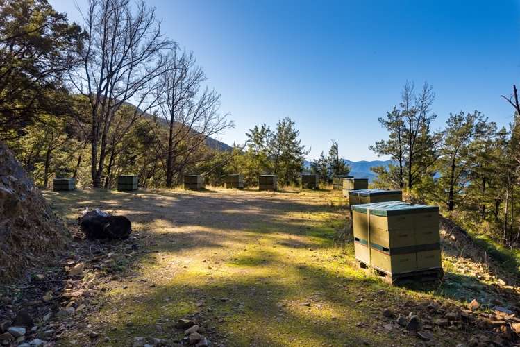 2464 Port Underwood Road Port Underwood_18