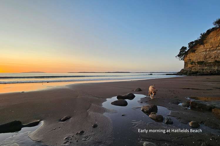 31a Ocean View Road Hatfields Beach_28