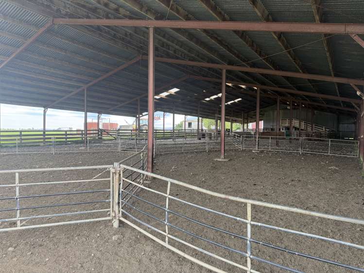 20 Carruthers Road Ashley Downs_14