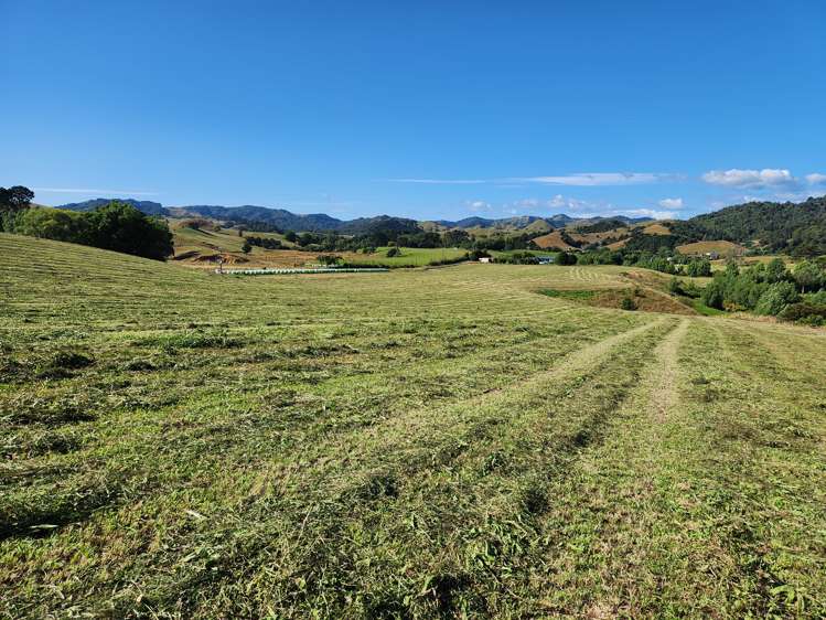 211 Waitetuna Valley Road Raglan_20