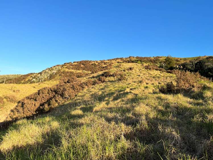 1469 Tuakau Bridge-Port Waikato Road Tuakau_12