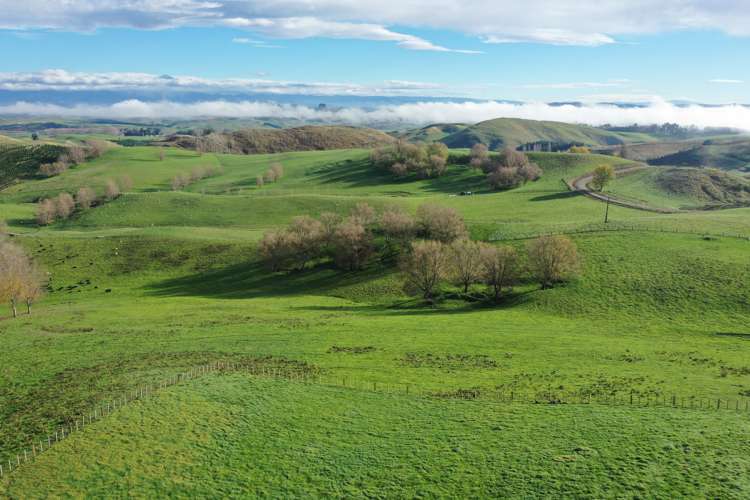223 and 224 Peacock Road Waipukurau_16