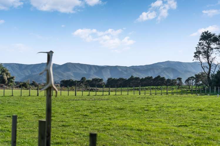 342a No 1 Line Tauwharenikau_31