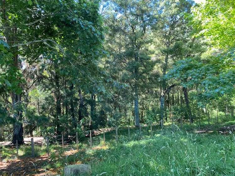 1266 Te Pahu Road Karamu_46