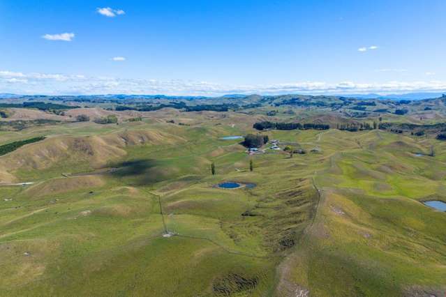 300 Pattison Road Waipukurau_1