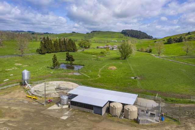 342 Happy Valley Road Maihiihi_3