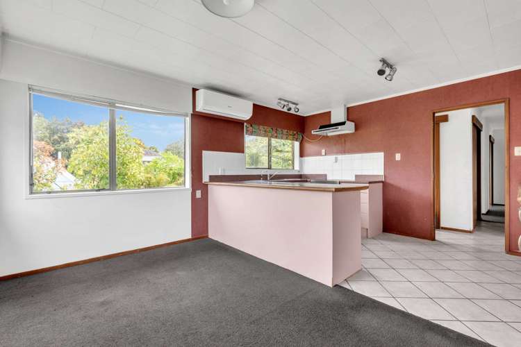 82 Greerton Road Gate Pa_12