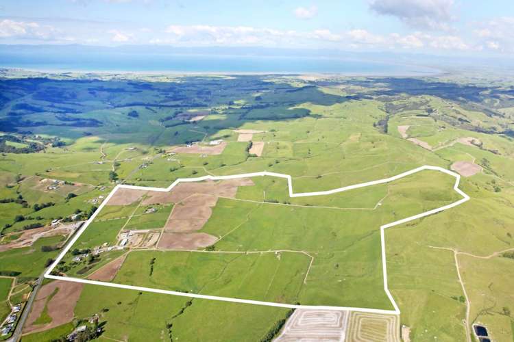 1781 Miranda Road Mangatangi_2