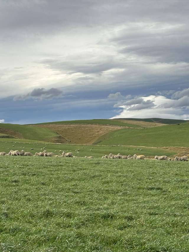 Tremendous Millers Flat breeding unit