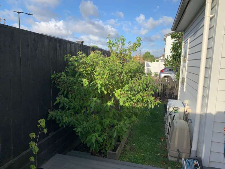 34 Silvereye Road Hobsonville_19