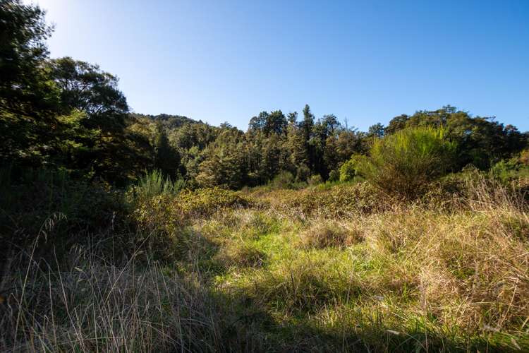 555 Upper Buller Gorge Road_3