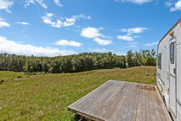 1878 Mangorei Road Mangorei_19