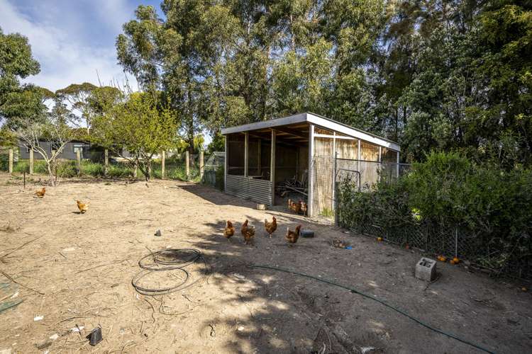 5 Villers Street Bay View_22