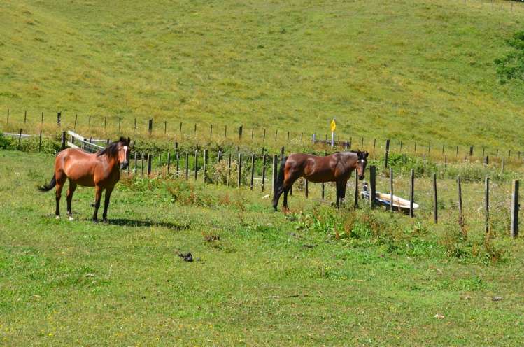 2 Peers Road Kaimai_23