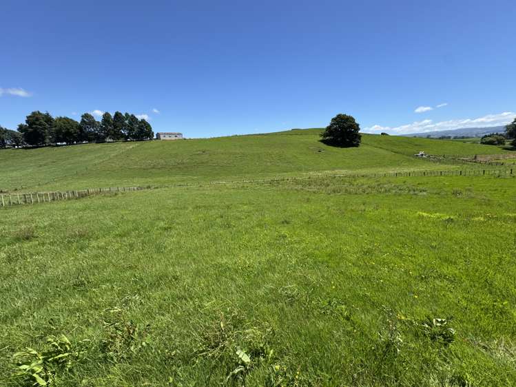 Lot 1 Pokuru Road Rd 3 Te Awamutu_5