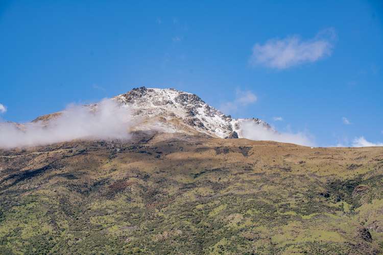 24 Regent Street Lower Shotover_23