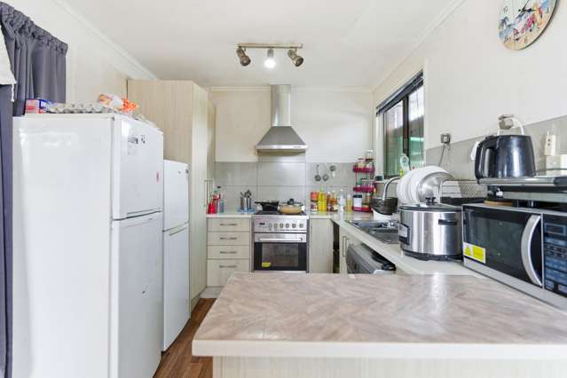 24 Parkinson Avenue Mount Roskill_3