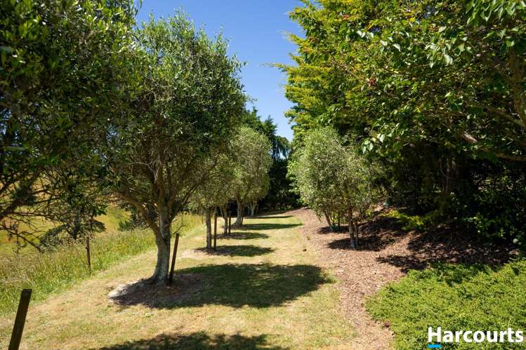35 Redwood Park Road Redwood Valley_39