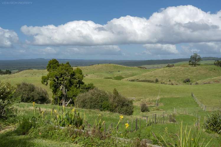 177B Old Kaimai Road Lower Kaimai_24