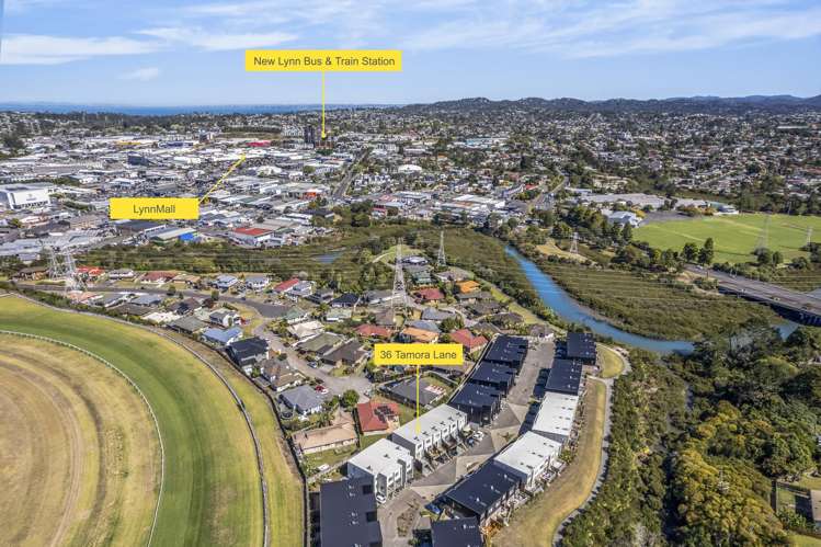 36 Tamora Lane Avondale_13