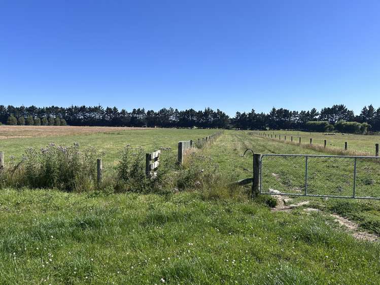 126 Moore Road Lorneville_2