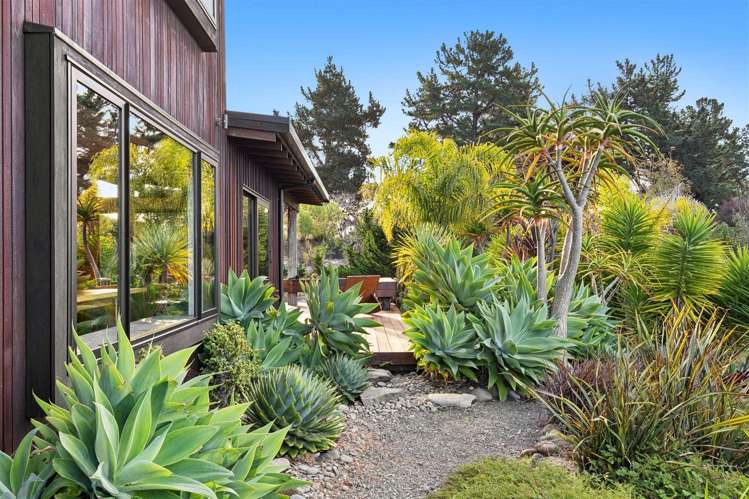 136 Awa Awa Road Tasman_13