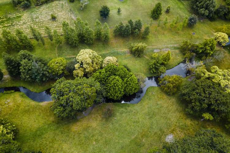 1559 Kahikatea Flat Road Kaukapakapa_26